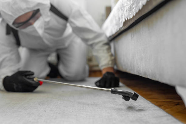 Professional Cockroach Control technician working in Albion, NY