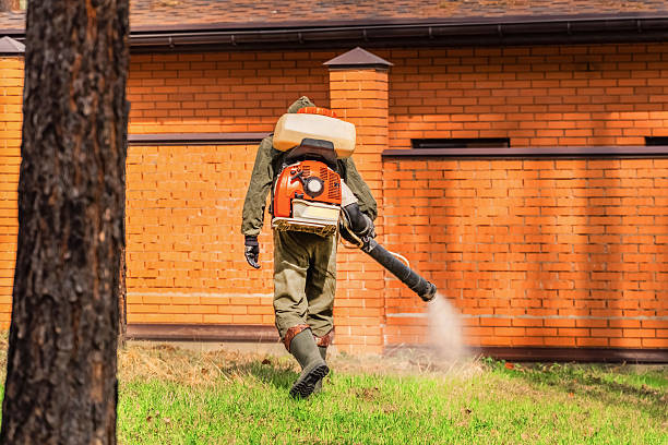 Trusted Cockroach Control service in Albion, NY - Nex Pest Control